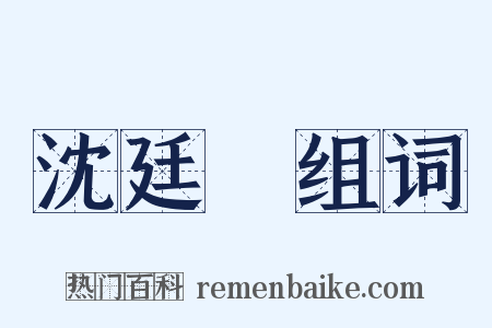 沈廷炤组词是什么意思的图片